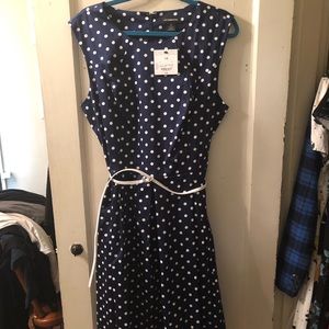 NWT Navy polka dot fit and flare dress